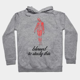 Blessed To Study This Anatomy - Medical Student in Medschool Hoodie